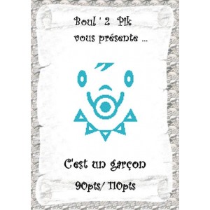 C'est un Gar&ccedil;on  version papier