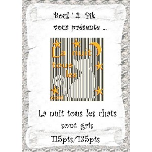 La nuit tous les chats sont gris