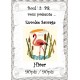 Envolée Sauvage Hiver